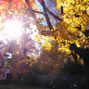 Meet your Posher, Travis